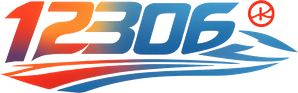 12306
